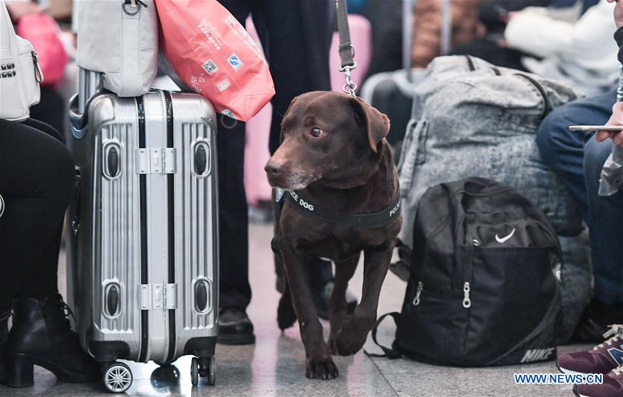 CHINA-CHENGDU-SPRING FESTIVAL-TRAVEL RUSH-POLICE DOG (CN)