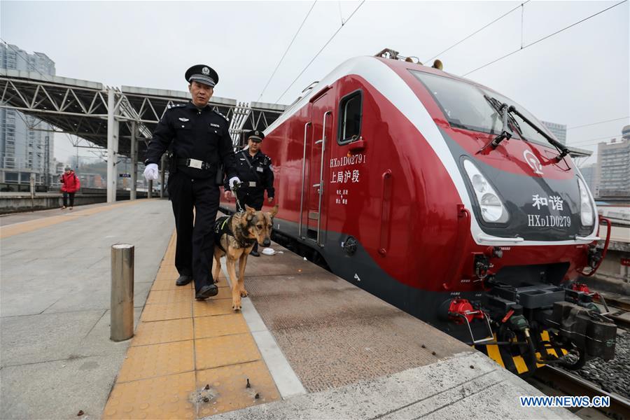 CHINA-GUIYANG-POLICE DOG (CN)