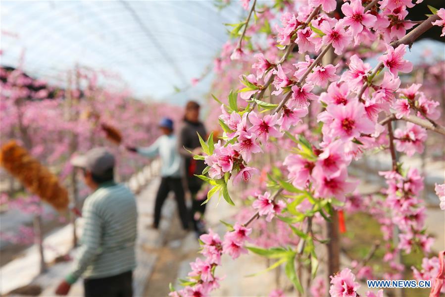 #CHINA-SPRING VIEWS (CN)