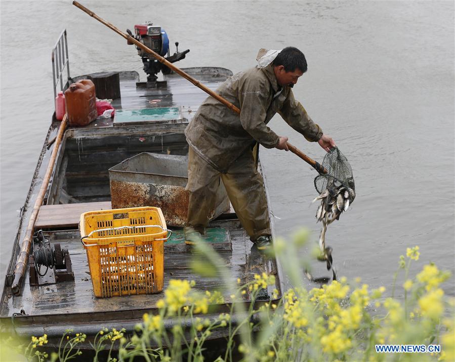 #CHINA-JIANGSU-FISHERY (CN)