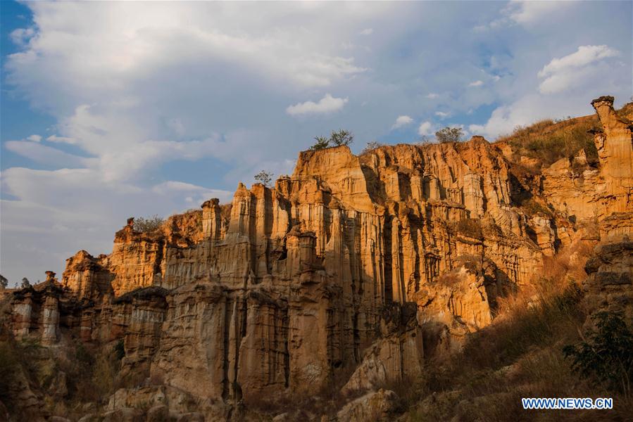 CHINA-YUNNAN-YUANMOU-EARTH FOREST (CN)