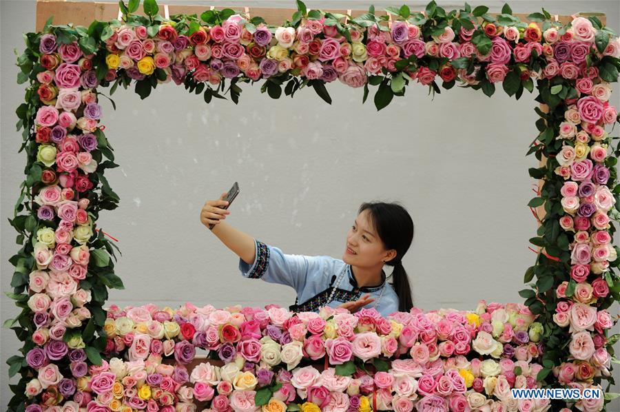 #CHINA-GUIZHOU-FAIR-CHINESE ROSE (CN)