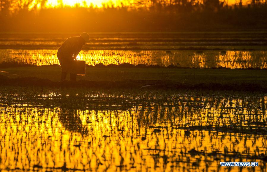 CHINA-XINJIANG-ILI-AGRICULTURE(CN)