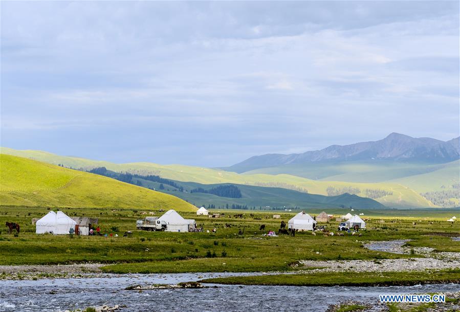 CHINA-XINJIANG-NARAT PRAIRIE (CN)