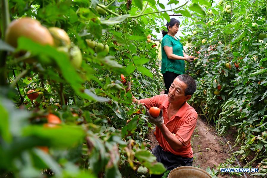 CHINA-SHUOZHOU-ECOLOGICAL PROTECTION (CN)