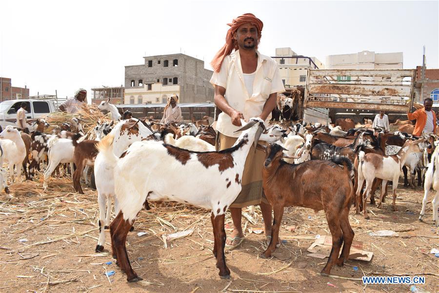 YEMEN-ADEN-EID AL-ADHA-LIVESTOCK MARKET