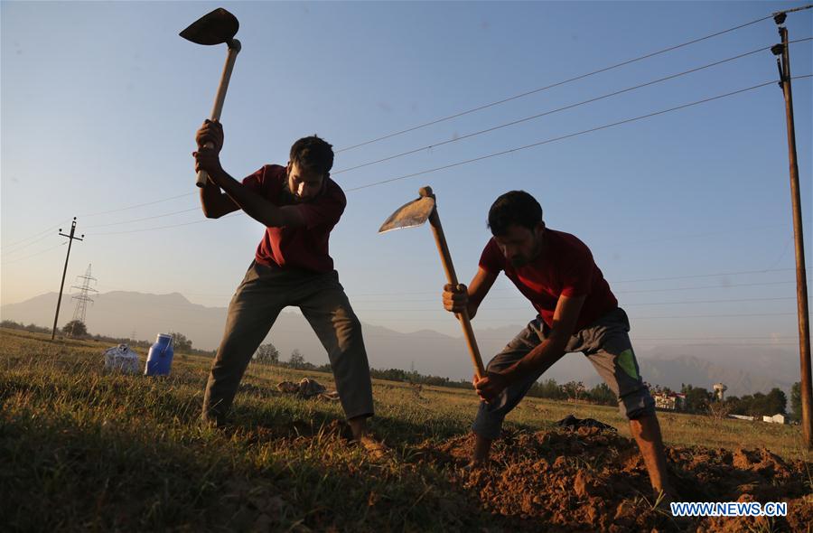 KASHMIR-SRINAGAR-DAILY LIFE