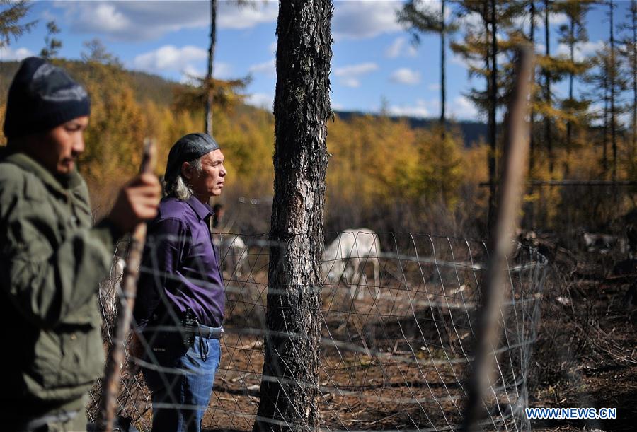 CHINA-INNER MONGOLIA-REINDEER-CONSERVATION-BREEDING (CN)