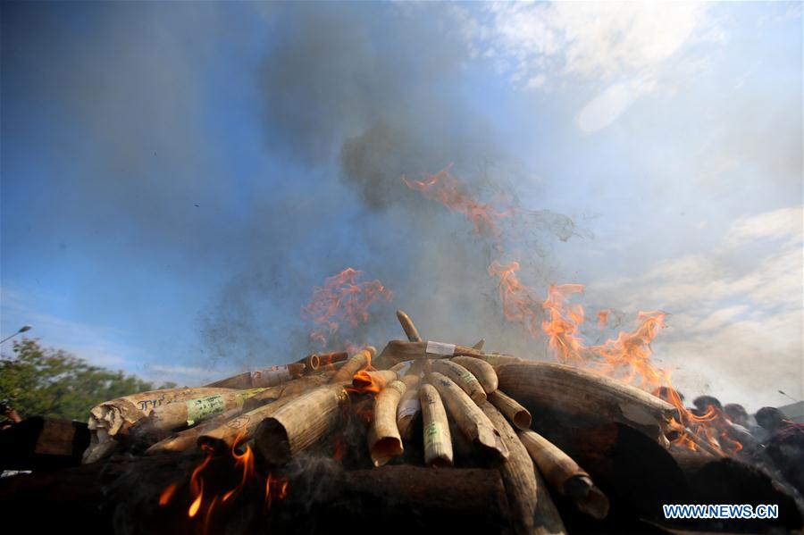 MYANMAR-NAY PYI TAW-ELEPHANT IVORY AND WILDLIFE PARTS-DESTURCTION CEREMONY