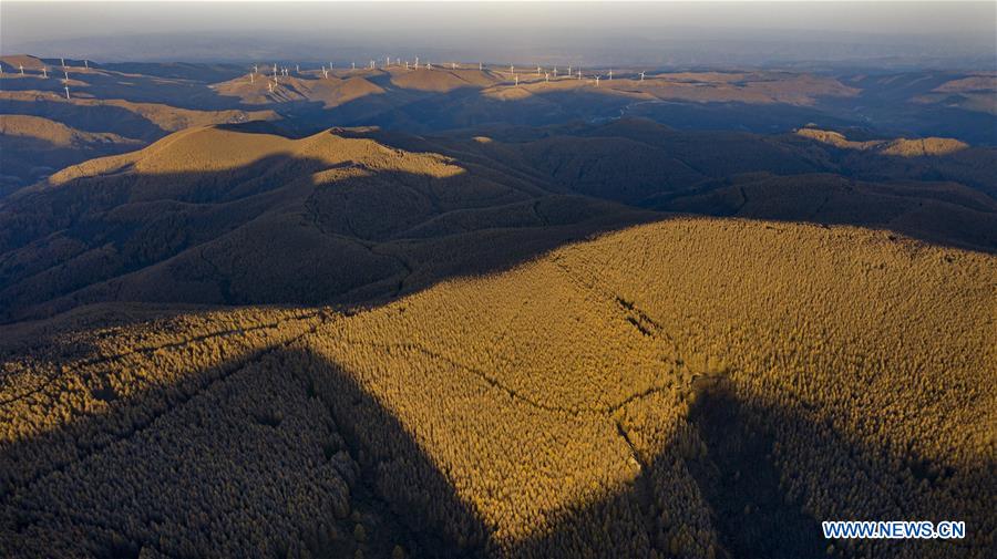 CHINA-SHANXI-QINYUAN-ENVIRONMENT-FOREST (CN)