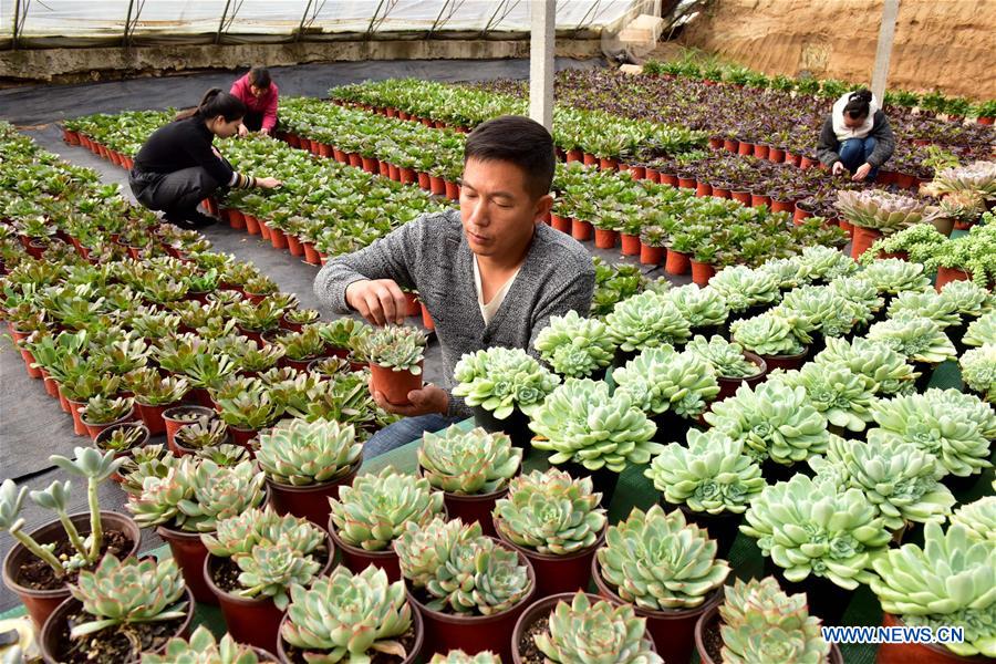 #CHINA-WINTER-FARM WORK (CN)