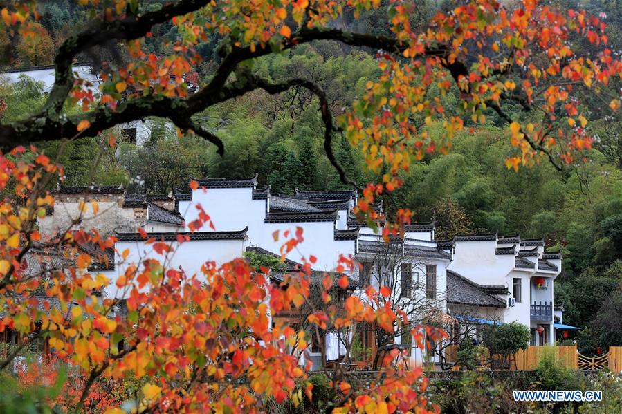 #CHINA-SCENERIES (CN)