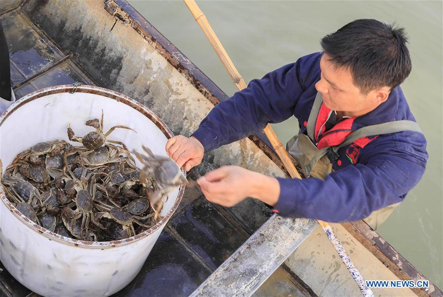 #CHINA-JIANGSU-HONGZE LAKE-CRAB-HARVEST (CN) 