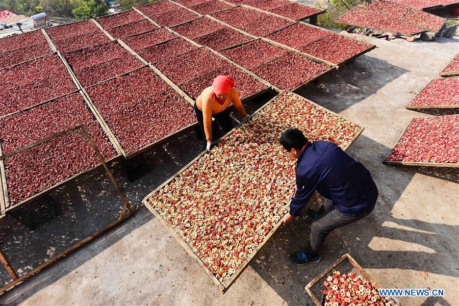 #CHINA-SHANDONG-HAWTHORN INDUSTRY (CN)