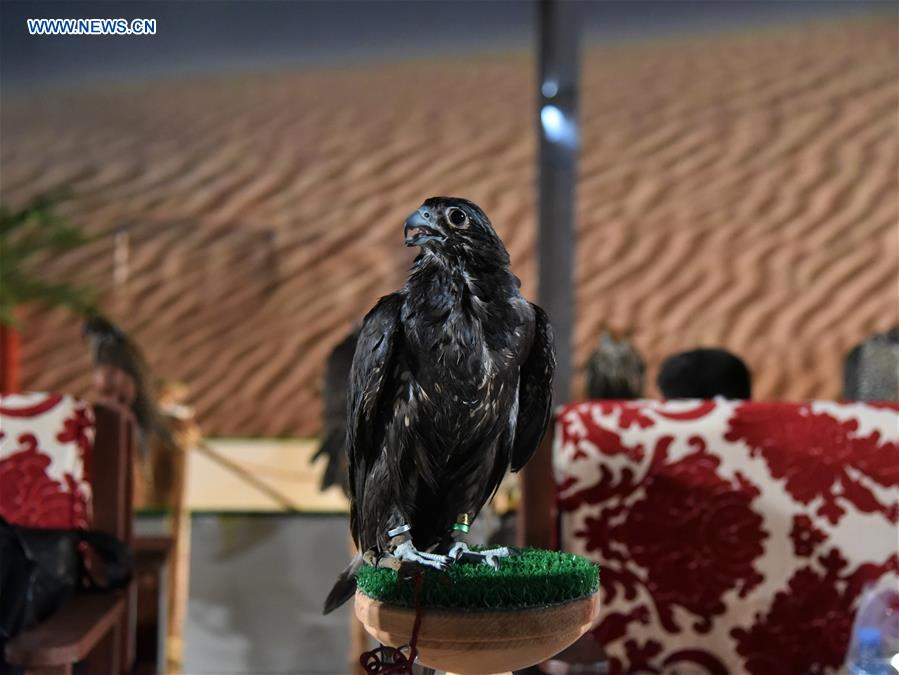 SAUDI ARABIA-RIYADH-FALCONS AND HUNTING EXHIBITION