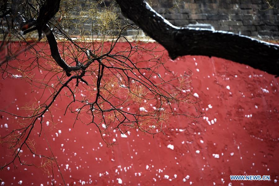 (InPalaceMuseum)CHINA-BEIJING-PALACE MUSEUM-SNOW (CN)