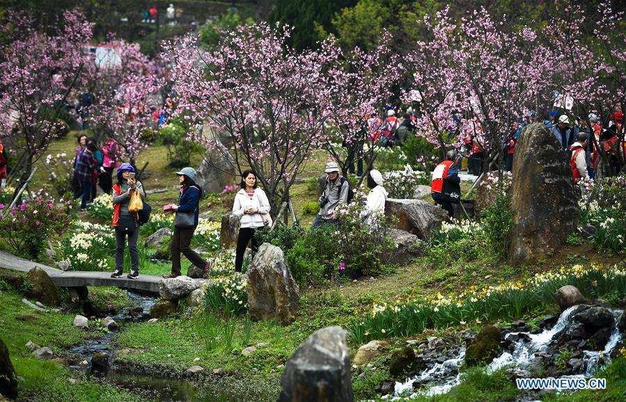 CHINA-TAIPEI-YANGMING MOUNTAIN-SCENERY(CN)