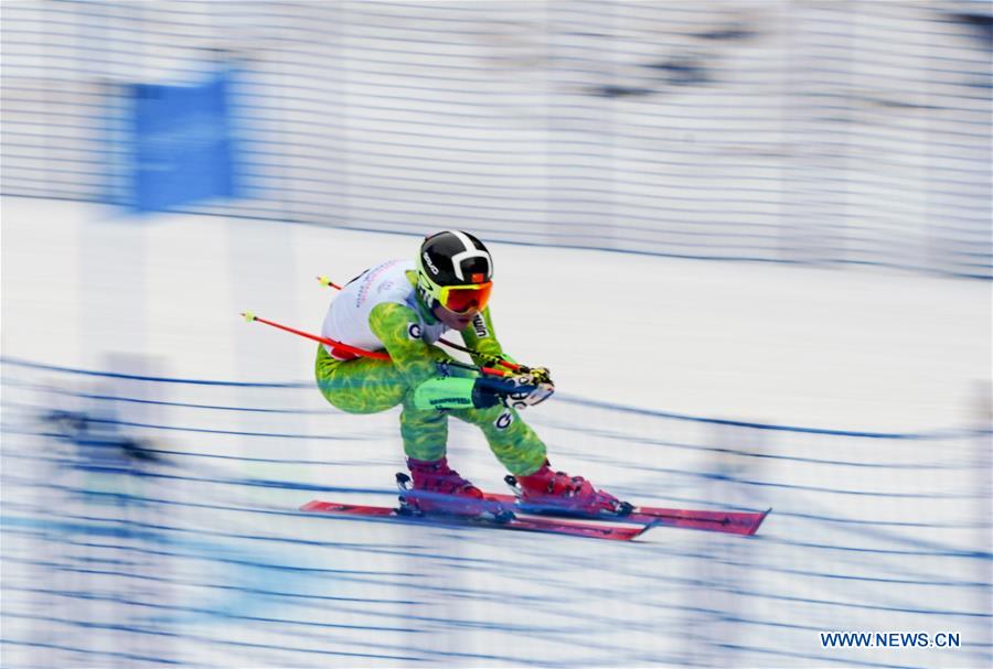 (SP)RUSSIA-KRASNOYARSK-29TH WINTER UNIVERSIADE-ALPINE SKIING-GIANT SLALOM