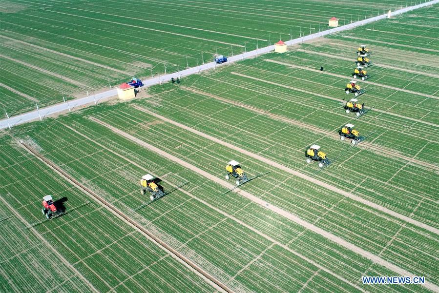 #CHINA-SPRING-FARMING (CN)