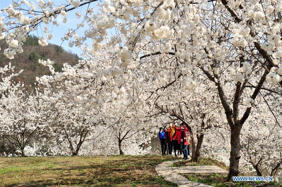 CHINA-SPRING-FLOWERS (CN)