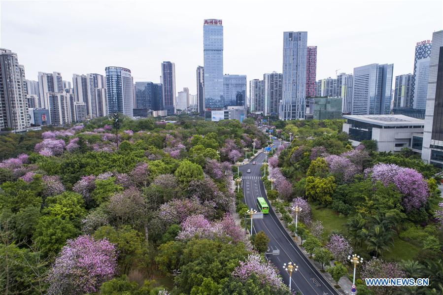 #CHINA-GUANGXI-LIUZHOU-FLOWERS (CN)