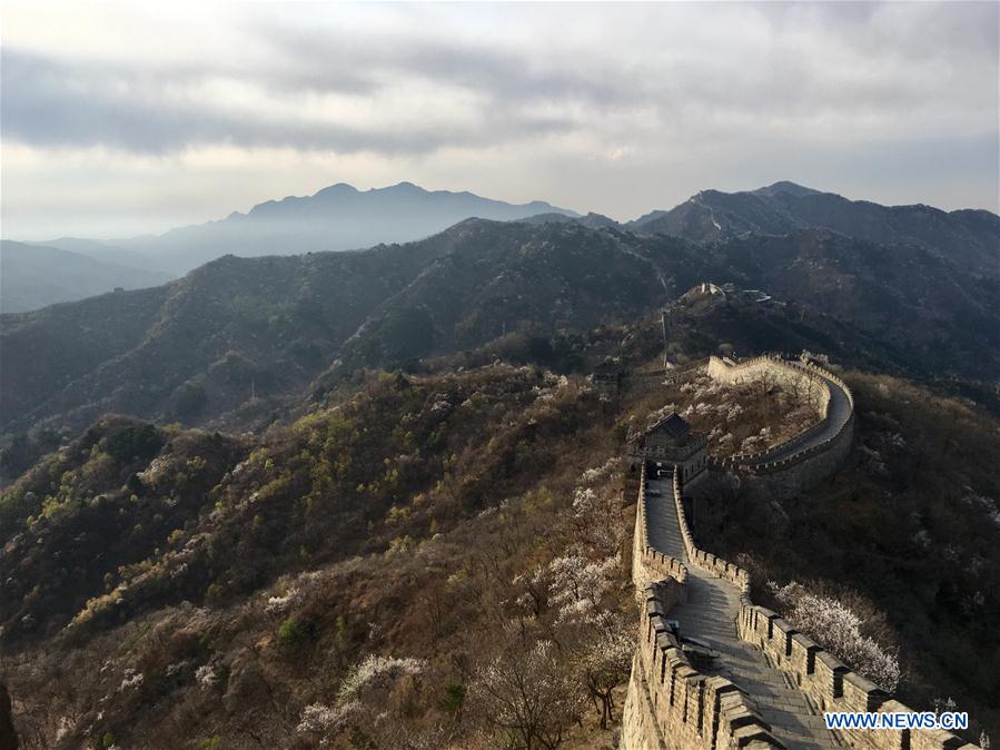 CHINA-GREAT WALL-PROTECTION(CN)