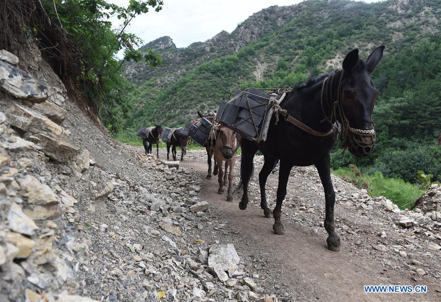 CHINA-GREAT WALL-PROTECTION(CN)