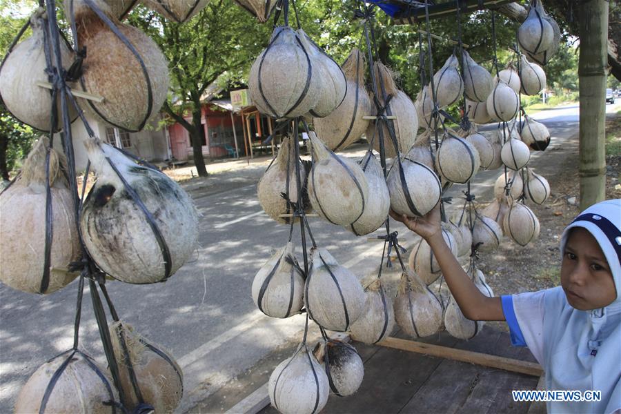 INDONESIA-WEST ACEH-RAMADAN-ROASTED COCONUT