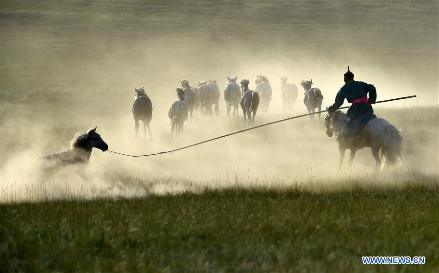 CHINA-INNER MONGOLIA-HORSE LASSOING (CN)