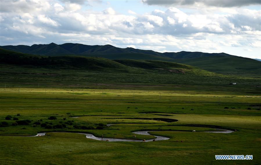 CHINA-INNER MONGOLIA-PASTURE SCENERY (CN)