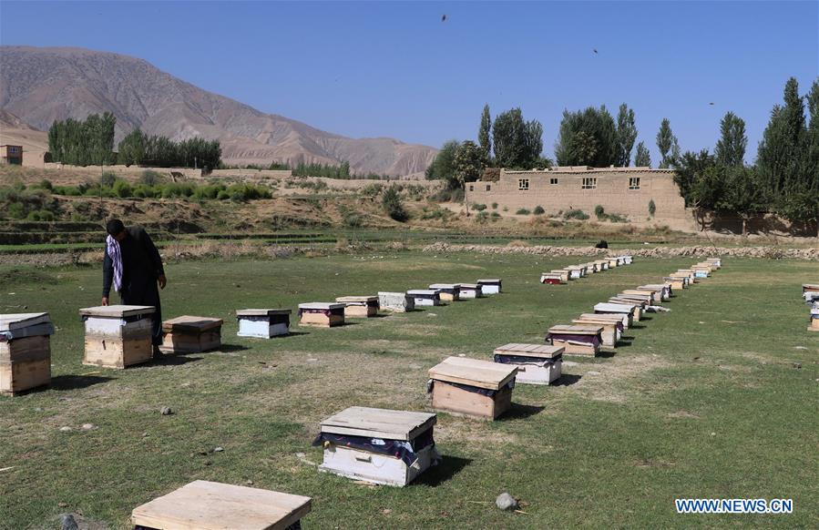 AFGHANISTAN-BAGHLAN-BEE FARM