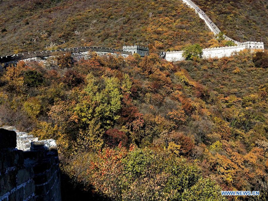 (BeijingCandid)CHINA-BEIJING-AUTUMN (CN)