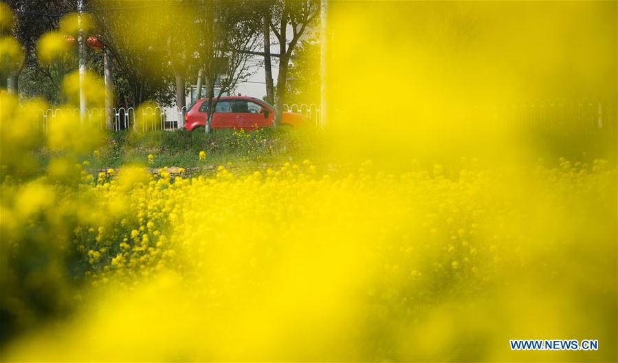 CHINA-HUBEI-WUHAN-SPRING SCENERY (CN)