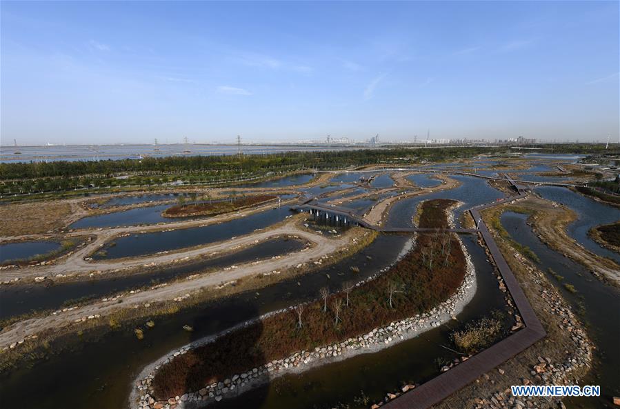 CHINA-TIANJIN-WETLAND-ENVIRONMENT (CN)