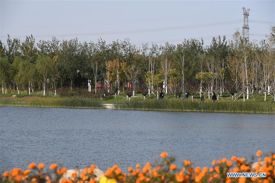 CHINA-TIANJIN-WETLAND-ENVIRONMENT (CN)