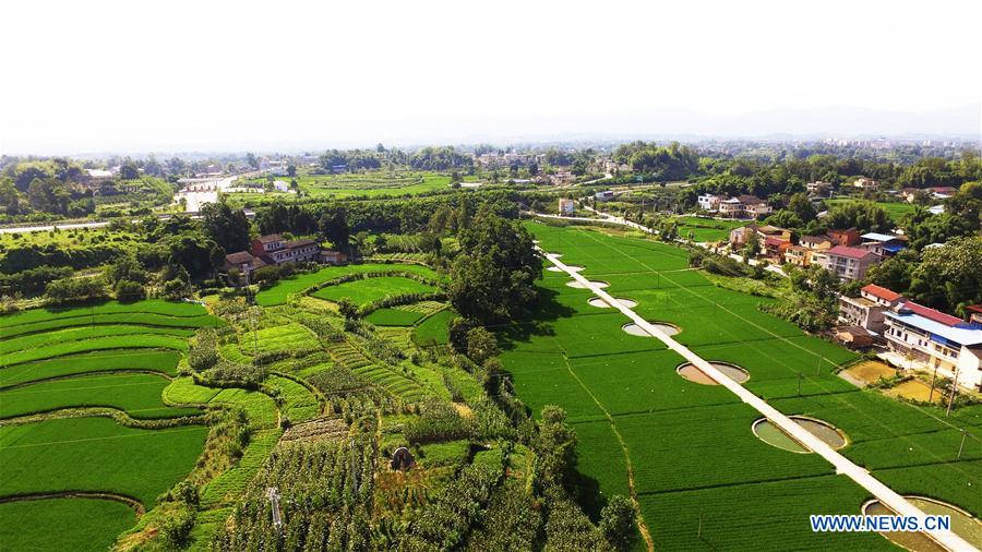 CHINA-CHONGQING-RURAL SCENERY (CN)