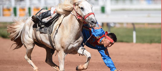 Highlights of Ordos ethnic games