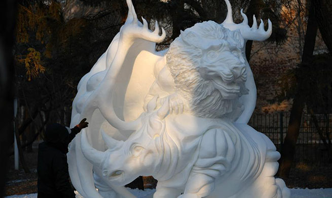 Highlights of Undergraduate Snow Sculpture Competition in NE China