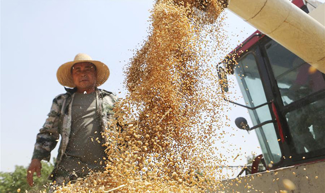 Farm work in summer across China