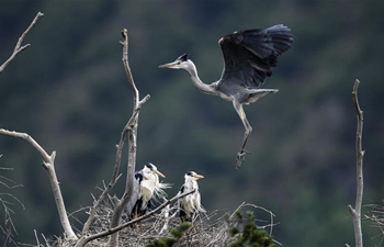 Xinhua photos of the day