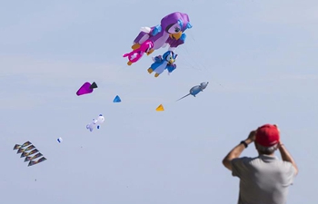 2019 Toronto WindFest Fun Fly held in Canada