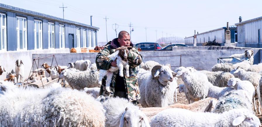 易地搬迁让村民“住得好、能致富”