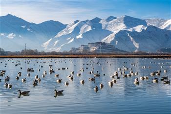 布宫雪景