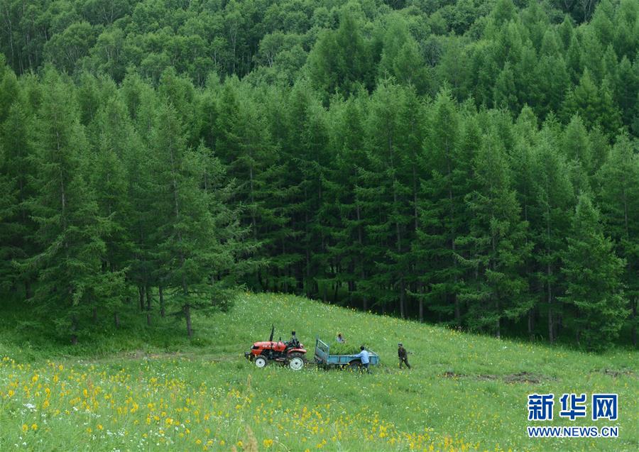 （壮阔东方潮 奋进新时代——庆祝改革开放40年）（4）美丽中华大地书写绿色传奇