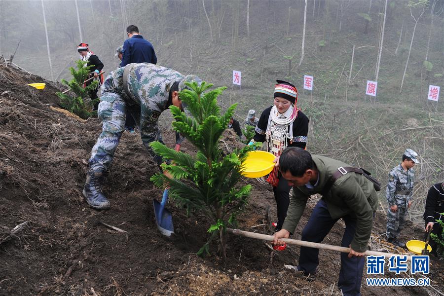 （图文互动）（6）和平年代，离死神最近的人——南部战区陆军云南扫雷大队边境扫雷排爆记事