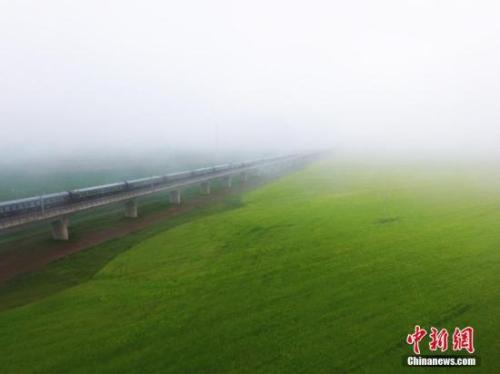 资料图：动车组穿越雨雾中的油菜花海宛若穿越时空。 杨艳敏 摄