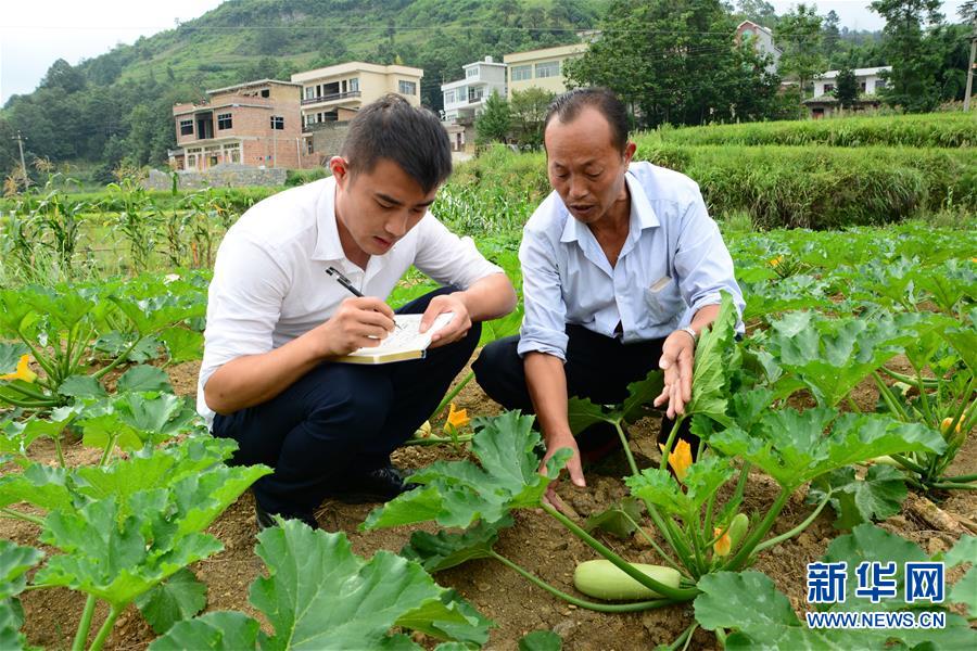 （新华全媒头条·图文互动）（3）咱们村里的年轻人——记奋战在贵州脱贫攻坚一线的青年