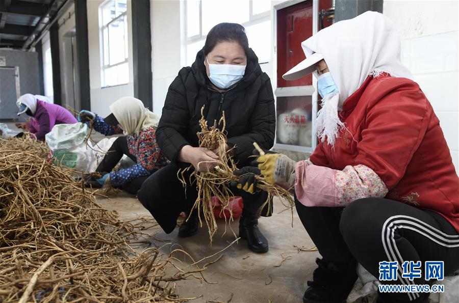 （新华全媒头条·图文互动）（2）特殊时期，他们这样履职——全国人大代表这个春天在行动