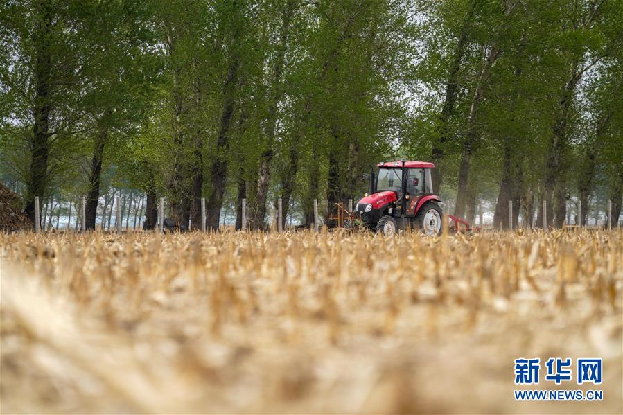 （在习近平新时代中国特色社会主义思想指引下——新时代新作为新篇章·习近平总书记关切事·图文互动）（5）让百姓吃得饱还要吃得好——夯实粮食安全基础端牢中国饭碗