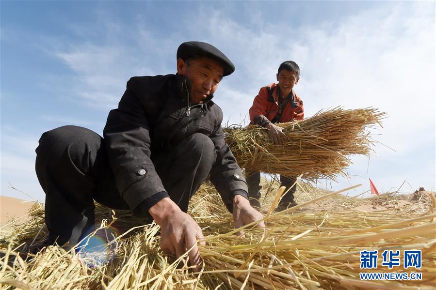 （在习近平新时代中国特色社会主义思想指引下——新时代新作为新篇章·习近平总书记关切事·图文互动）（5）绿色映底蕴，山水见初心——生态优先、绿色发展持续造福群众美好生活